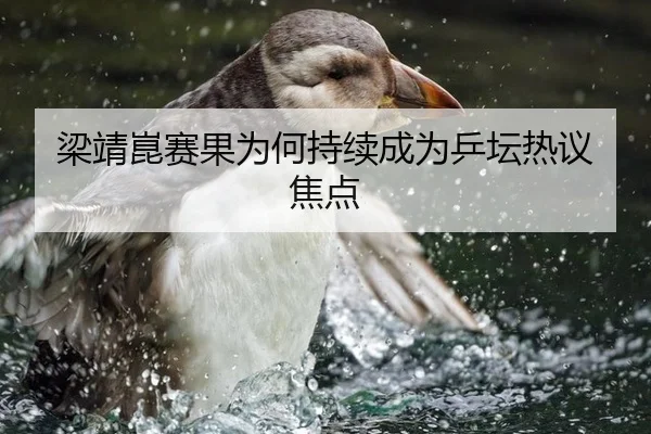 梁靖崑赛果为何持续成为乒坛热议焦点