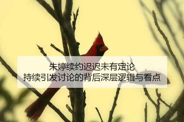 朱婷续约迟迟未有定论 持续引发讨论的背后深层逻辑与看点